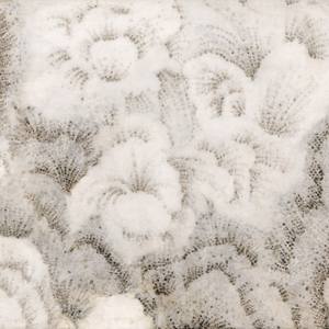 Collection New This Week 03-20-2023