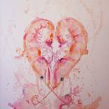 Schrimp love by Pallieter Deseck