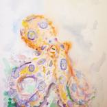 Octopus by Pallieter Deseck