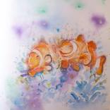 Nemo fish by Pallieter Deseck