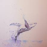 Whale jumping by Pallieter Deseck