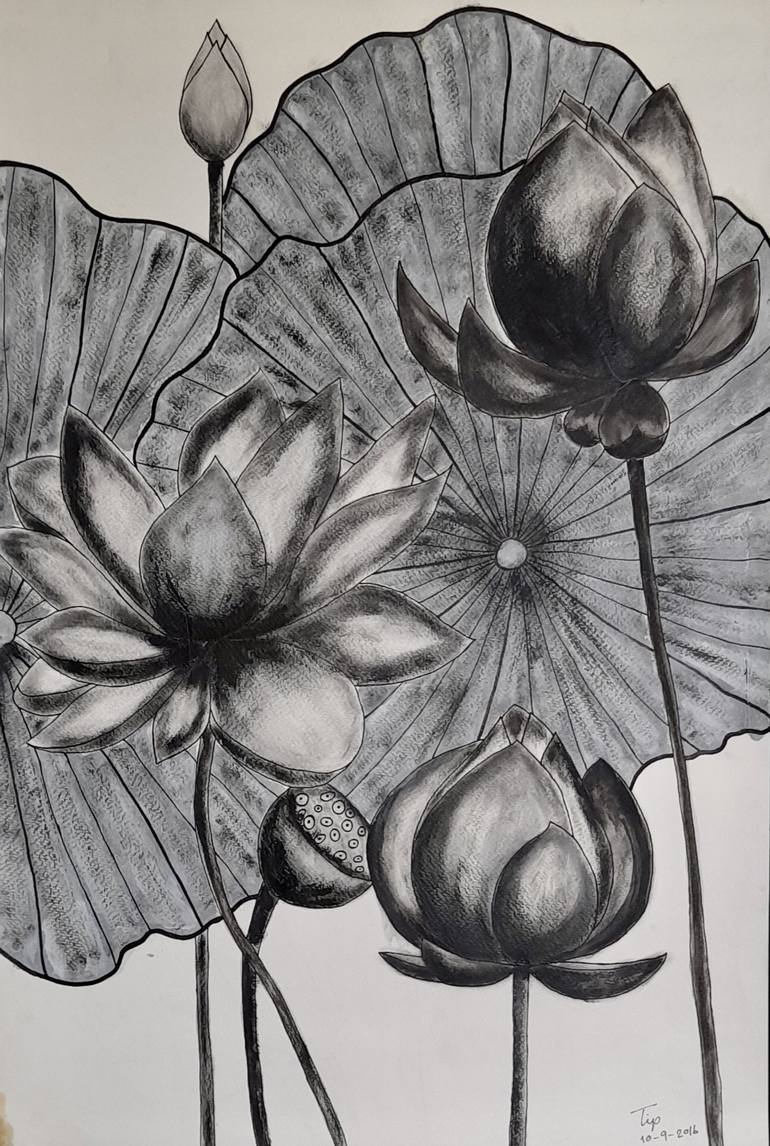 lotus flower black and white sketch