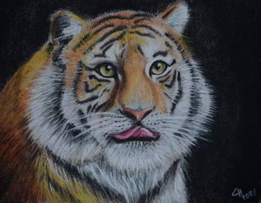 Tiger. Close-up portrait. Pastel thumb