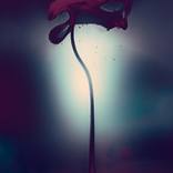 Arise - Limited Edition of 5 by Anthony Epes