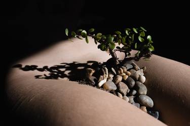 Original Fine Art Nude Photography by Brendan Louw