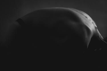 Original Abstract Nude Photography by Brendan Louw