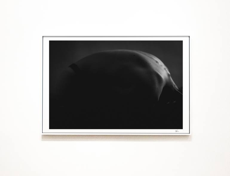 Original Abstract Nude Photography by Brendan Louw