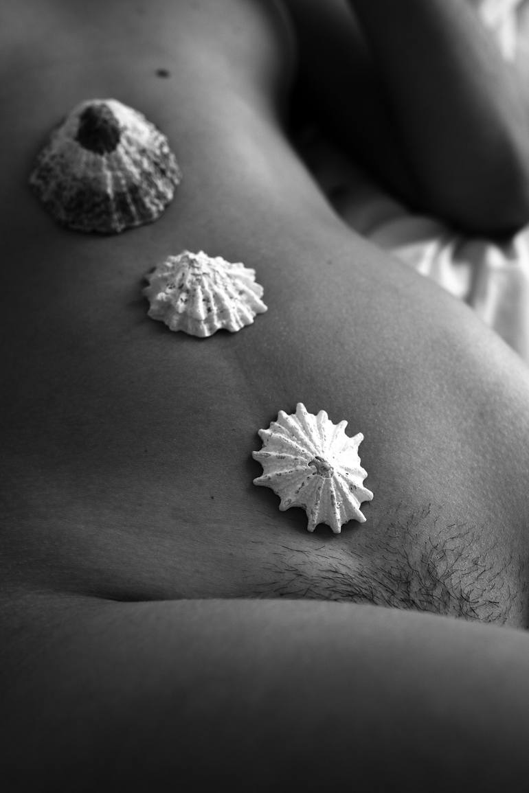 Nude with sea shells Photography by Brendan Louw | Saatchi Art