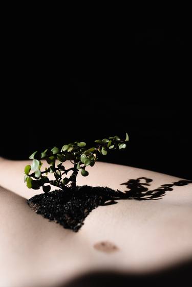 Original Nude Photography by Brendan Louw