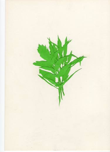 Print of Botanic Collage by Ana Sindik