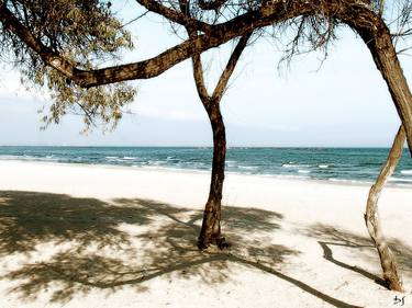 Print of Conceptual Beach Photography by DAN STEFAN