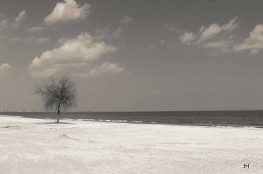 Print of Beach Photography by DAN STEFAN