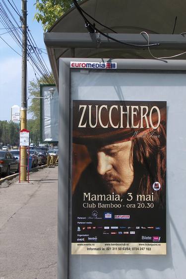 Zucchero thumb