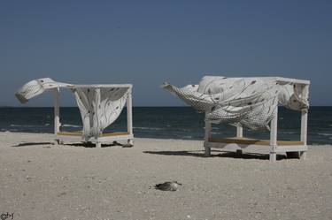 Print of Conceptual Beach Photography by DAN STEFAN