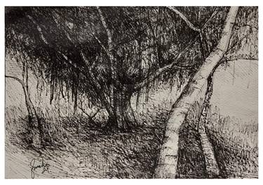 Original Black & White Landscape Drawing by Fareeha Waseh