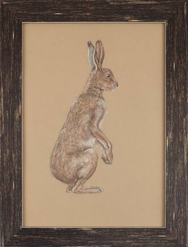 Print of Animal Drawings by Kary Guash