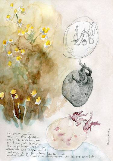 Original Botanic Paintings by Eric Reyes-Lamothe