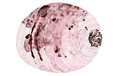 Fingerprint cochineal landscape thumb