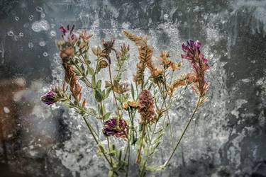 Original Realism Floral Photography by Giuseppe Potente