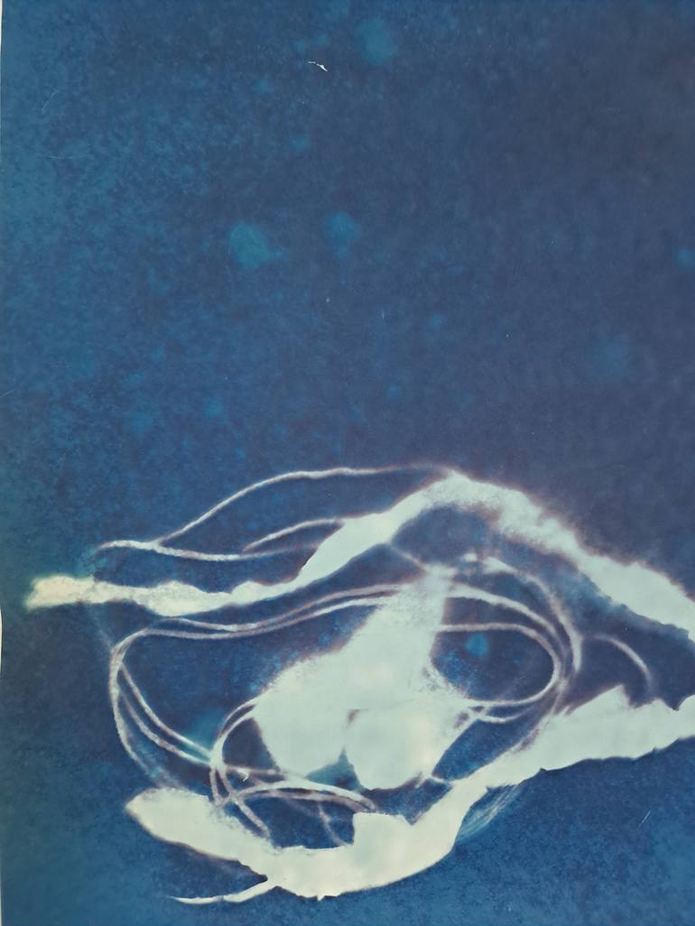 Original Figurative Animal Printmaking by Johanna Aenderl