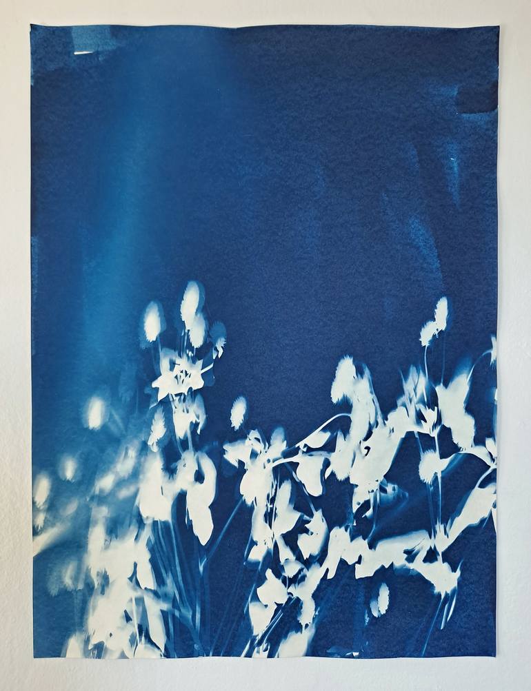 Original Fine Art Botanic Printmaking by johanna aenderl