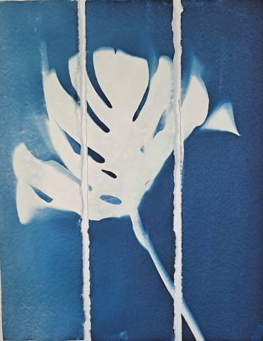 Original Figurative Botanic Printmaking by johanna aenderl