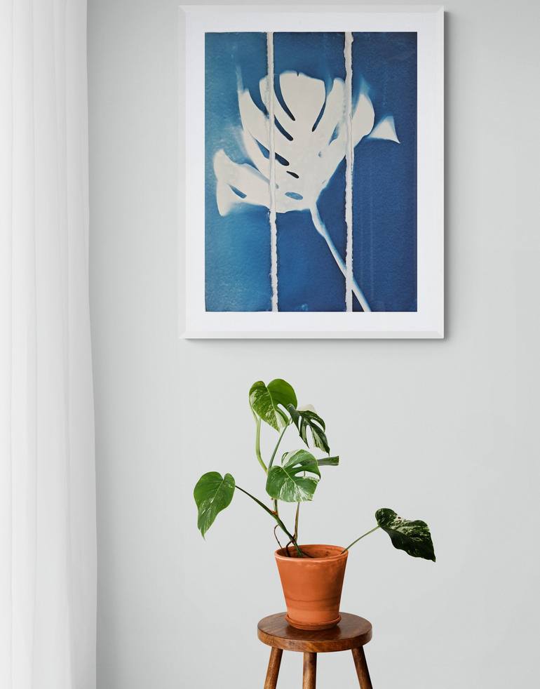 Original Botanic Printmaking by johanna aenderl