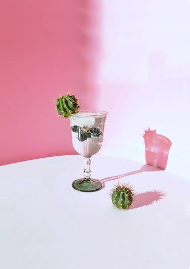 Original Still Life Photography by Olga S Ortiz