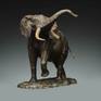 The Elephant is a highly intelligent creature that lives in the social structure of a herd. My sculpture depicts the dominant male whose job it is to protect the heard . His stance is that of warning any intruder or predator not to come any closer . The raised head and trunk, flapping ears and short mock charges are usually enough to keep intruders away