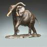 The Elephant is a highly intelligent creature that lives in the social structure of a herd. My sculpture depicts the dominant male whose job it is to protect the heard . His stance is that of warning any intruder or predator not to come any closer . The raised head and trunk, flapping ears and short mock charges are usually enough to keep intruders away