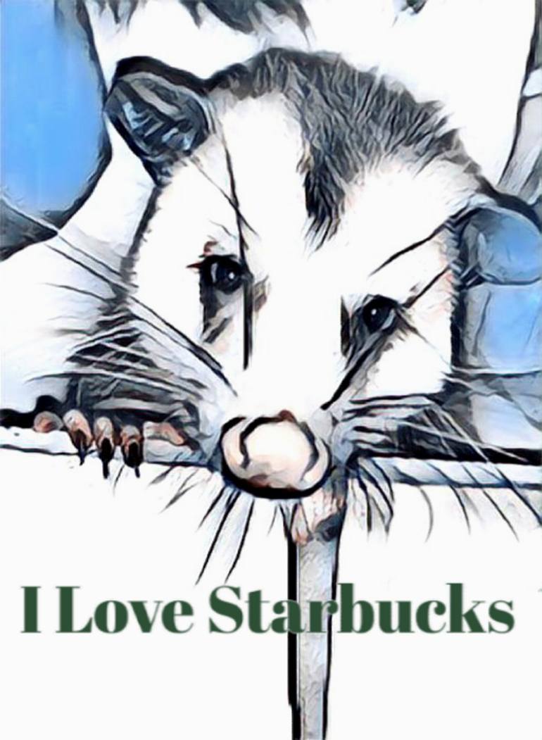 Starbucks Opossum Rambo - Limited Edition of 900 Photography by Lisa ...