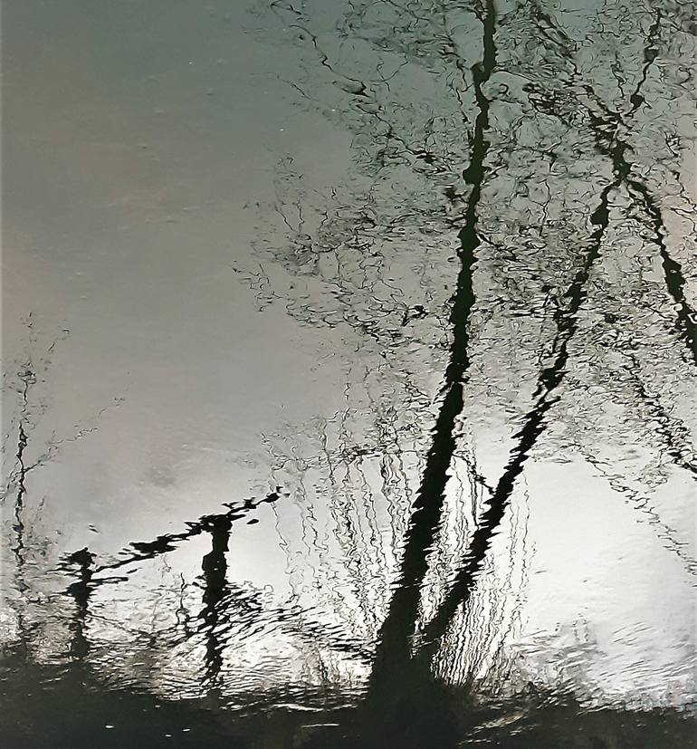 reflection - Print