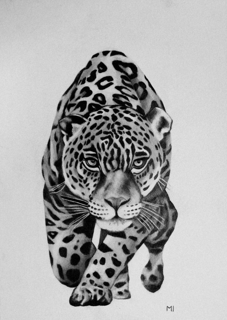 panther drawing