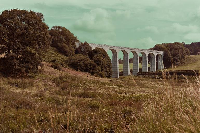 Cannington Viaduct Uplyme Devon. Series 1 6. Limited Edition