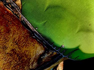 Original Modern Abstract Photography by Walter Hubert