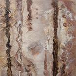 Collection Earth