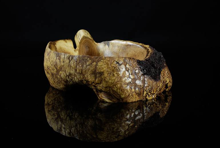 Original Other Home Sculpture by Jiri Anderle