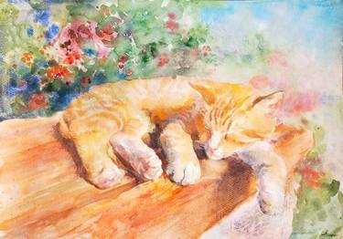 In the sun,The white and red cat is sleeping,Watercolor painting thumb
