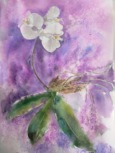 Original Floral Paintings by Anastassiya Coskun