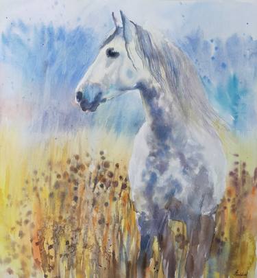 Grey horse in the field watercolor painting on paper thumb