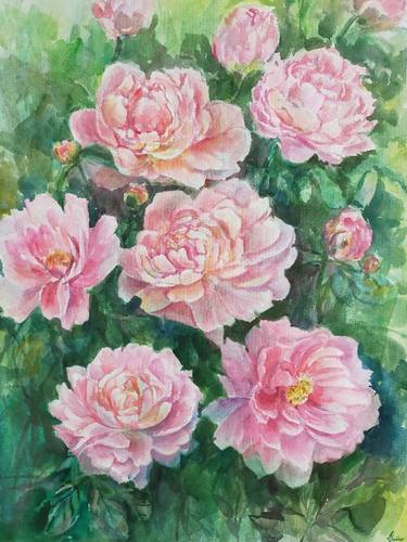 Original Floral Paintings by Anastassiya Coskun