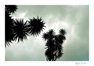 Print of Abstract Landscape Photography by Smitha Nirmalkumar