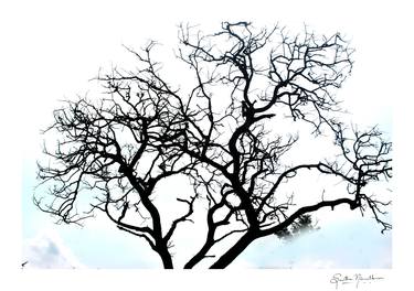 Print of Abstract Landscape Photography by Smitha Nirmalkumar