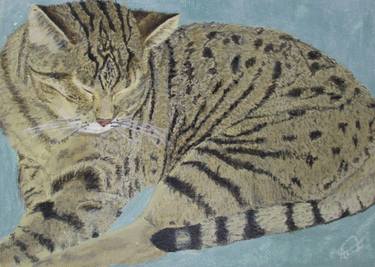 Print of Realism Cats Printmaking by Airiel Green