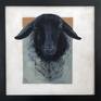 Collection Trending Now: Animal Portraits