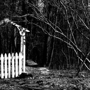 Considering Eternity