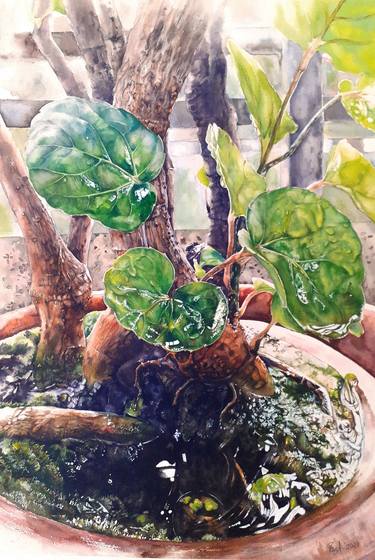 Original Nature Paintings by Sufia Easel