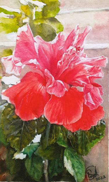 Original Floral Paintings by Sufia Easel