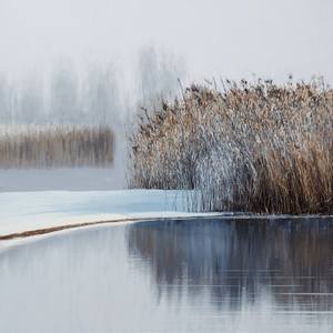 Collection Winter Wonderlands