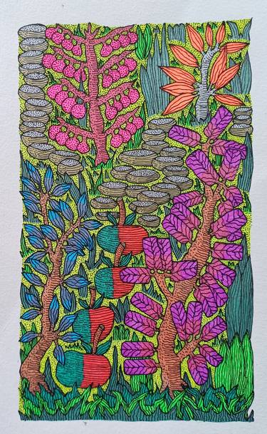 Original Botanic Drawings by Alastair Irvine